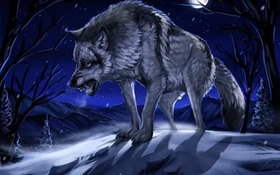 зоопарк серый волк опасные глаза Стоковое Изображение - изображение  насчитывающей плен, член: 246910441