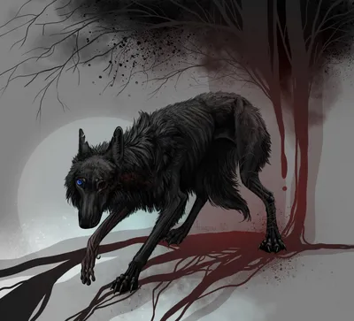 Большой и страшный Серый волк: истории из жизни, советы, новости, юмор и  картинки — Все посты, страница 41 | Пикабу