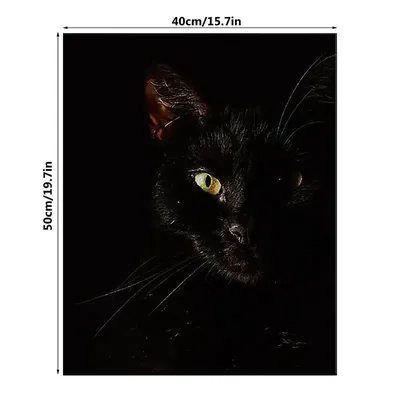 Ужасная Кошка Холст Черный кот с яркими глазами плакат на стену картины Страшные  Кошки холст картина для фото | AliExpress