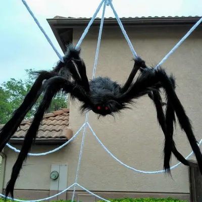 200 см яркие страшные Гигантские Черные пауки огромный паук планета  декоративный реквизит на Хэллоуин дом с привидениями праздничное уличное  гигантское украшение | AliExpress