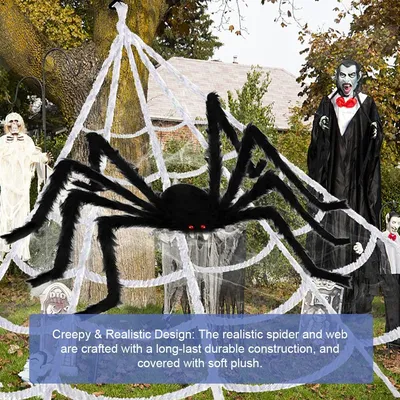 Пользователи соцсетей обсуждают обнаруженных в черте Усть-Каменогорска « страшных» пауков | YK-news.kz