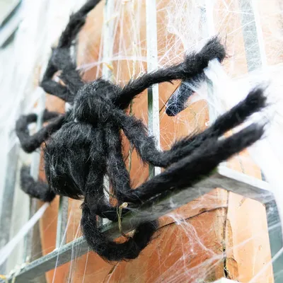 Страшные черные пауки вечерние НКИ на Хэллоуин, супер большой плюшевый  красный глаз, животное, паук, украшение, реквизит, детская игрушка, Декор  для дома с привидениями | AliExpress