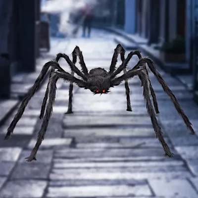 Страшные толстые сети паука и мертвые и живые пауки закрывают вверх  Стоковое Фото - изображение насчитывающей ангстрома, страшно: 145585082