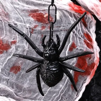 9 жутких пауков из ночных кошмаров, которые точно разовьют у вас арахнофобию