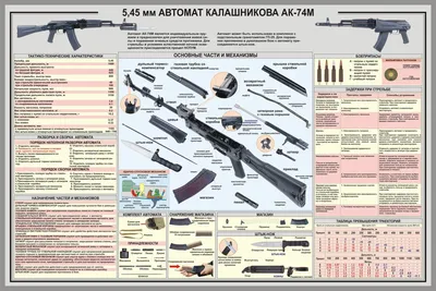 Основное стрелковое оружие Российской армии - учебные плакаты