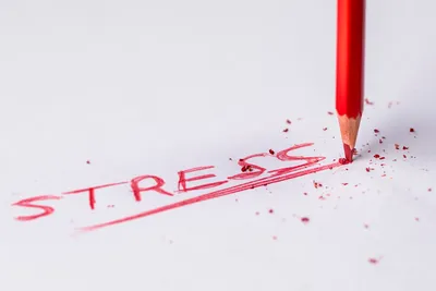 Какое воздействие оказывает стресс на человека | Статьи psy-a.com
