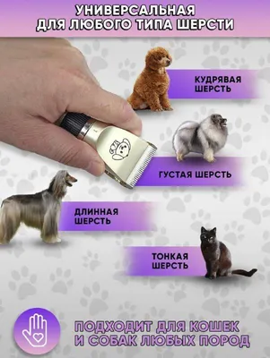Бесшумный триммер для стрижки кошек и собак, профессиональная машинка для  животных с водонепроницаемым корпусо (ID#1961258273), цена: 699 ₴, купить  на Prom.ua