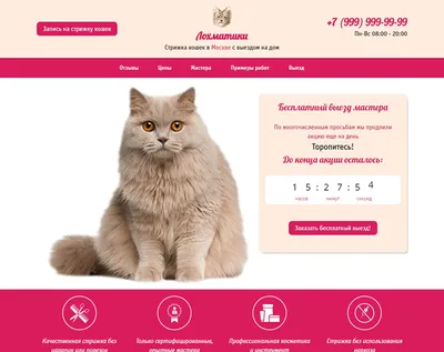 Стрижка кошек | Ветеринарная клиника
