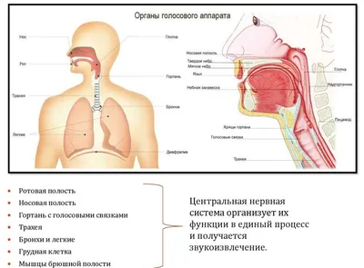 А.И. Ахметзянова Т.Ю. Корнийченко Л.Н. Суздальцева ЛОГОПЕДИЧЕСКИЙ АТЛ