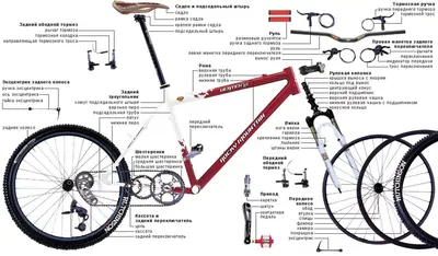 Устройство велосипеда - схема и описание