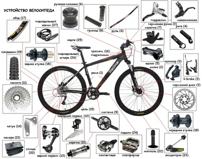 BikeTime • Просмотр темы - Устройство велосипеда