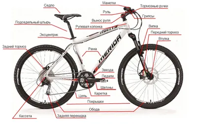 Горный велосипед Aspect Ideal 26 (2023) купить в Тюмени, цена, фото в  интернет-магазине ВелоСтрана.ру