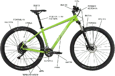 🛠️ Основные части устройства велосипеда - разбор от Velosklad