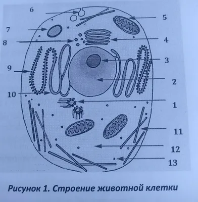 Город клетка рисунок - 54 фото