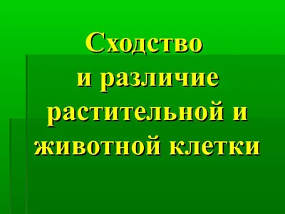 Клетка растения и животного рисунок (48 фото) » рисунки для срисовки на  Газ-квас.ком