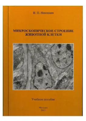 Забудьте про школьные рисунки. Биолог показал как на самом выглядят  человеческие клетки | Мысли биолога | Дзен