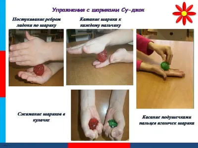 Су-джок терапия для развития ребенка! — Logoprofy.ru