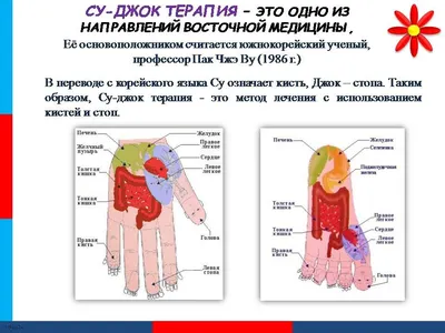 При лихорадке, простуде и температуре | Су Джок терапия | Просто делюсь) |  Дзен