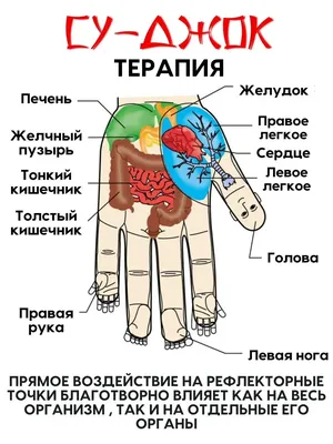 Су-Джок терапия для развития мелкой моторики у детей. Пальчиковые игры.  Прусакова Светлана. - YouTube