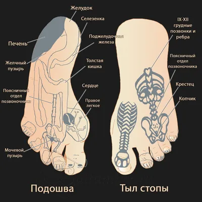 ᐉ Набор для суджок терапии (1009383-Other)