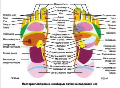 Су-джок терапия для детей | Дефектология Проф