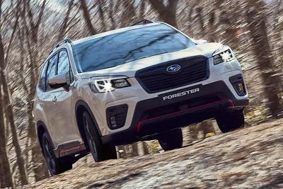 2019 Subaru Forester: Choosing the Right Trim - Autotrader