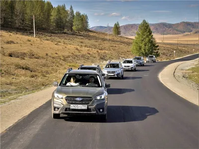 Плюшки, няшки и упор. — Subaru Outback (BR), 2,5 л, 2011 года | аксессуары  | DRIVE2