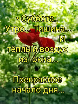 Почему суббота так называется? - Быль нового Ржева