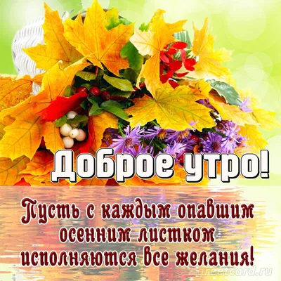 С Добрым утром Друзья!🤗🌞Счастливого…» — создано в Шедевруме