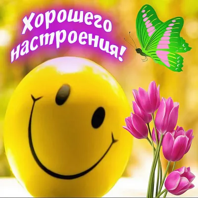 Дима Коляденко: позитивный трек «Супер Дима» - Best People Club