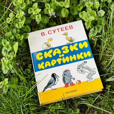 Мастера иллюстрации: Владимир Сутеев | Майшоп