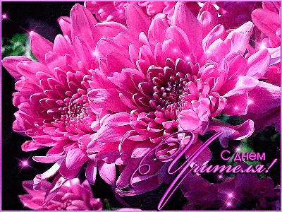 Фиолетовые цветы, золотой день рождения счастливого фона, сверкающие линии,  золотые точки, Женский фотобаннер | AliExpress
