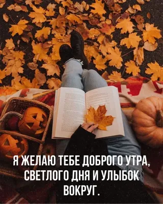 Татьяна on X: \"Всем доброго и светлого утра! Good and light morning  everyone! http://t.co/CprjCapEBT\" / X