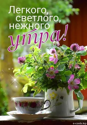 Доброе мирное утро (В статье много фото!) - treepics.ru