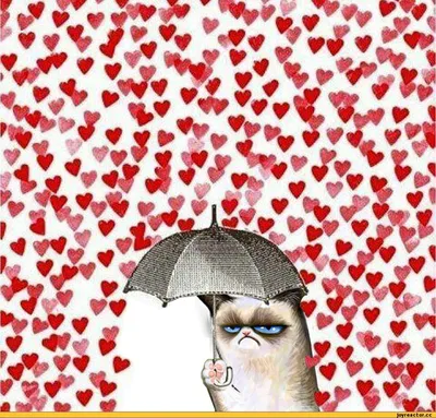 valentine's day (приколы про день святого валентина) / смешные картинки и  другие приколы: комиксы, гиф анимация, видео, лучший интеллектуальный юмор.