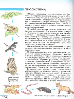 Иллюстрация 11 из 25 для Невероятная книга о животных - Любовь Вайткене |  Лабиринт - книги. Источник: Лабиринт