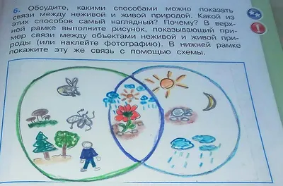 Познание мира - 4