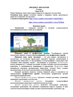 Книга СТРЕКОЗА Обучающий плакат Природные зоны России Животные и растения  купить по цене 212 ₽ в интернет-магазине Детский мир