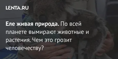 Бионика: Учимся мудрости у природы: Uchimsq mudrosti u prirody :  Кричевский, Герман Евсеевич: Amazon.de: Bücher