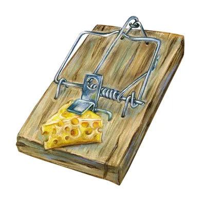 Свободный сыр в мышеловке стоковое фото. изображение насчитывающей  запрещено - 121200308