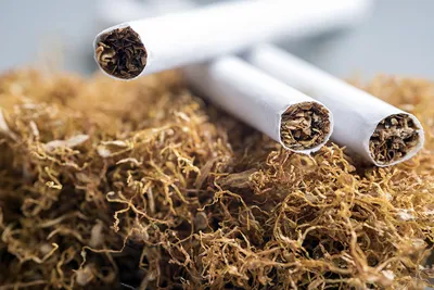 Натуральный табак удивит ароматом даже некурящего - Бізнес новини  Курахового та Мар'їнки