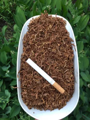 Табак Black Burn - На чиле (Тропический сок) 25 гр купить в Казани, цена  240 р. - интернет-магазин PiterSmoke