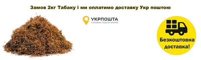 Сладкий табак (Sweet Tobacco) | CandleScience в Казахстане, отдушки оптом и  в розницу | candlescraft.kz