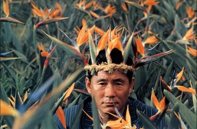 Редкие снимки Такеши Китано: эксклюзивная коллекция доступна для скачивания