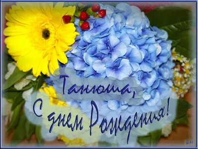 Таня ТН14 С днём рождения!!! - обсуждение на форуме e1.ru