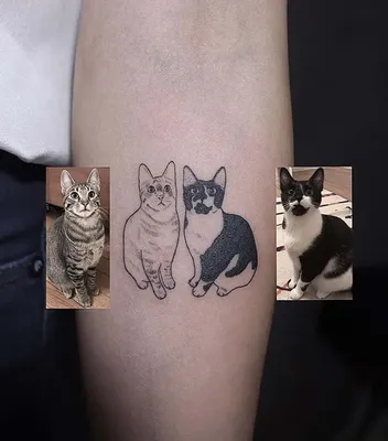 Тату кошка трайбл - 2 Фото и значение татуировок 2024