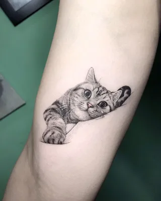 Black cat tattoo | Художественные иллюстрации, Тату, Эскиз тату