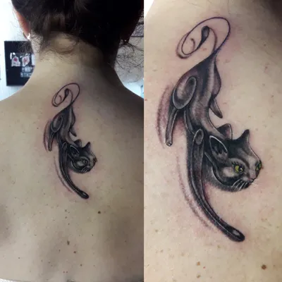 кот #котята #кошечки #cat #сфинкс #кошкисфинксы #tattoomoscow #tattoo:  tattooshka54 — LiveJournal