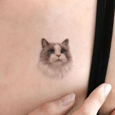 Наколки кошек - идеи и фото - tattopic.ru