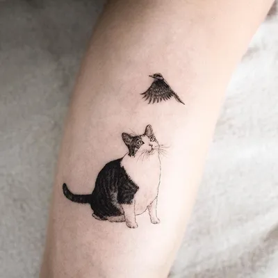 Vlad Tattoo - Кот или кошка — это всегда символ острого ума,  сообразительности и свободолюбия. Татуировка с изображением кошки чаще  встречается у женщин, хотя мужчины тоже иногда придают своему телу  разнообразия с